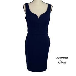 Joanna Chen New York Blue Sleeveless Sheath Dress NWT Size 6